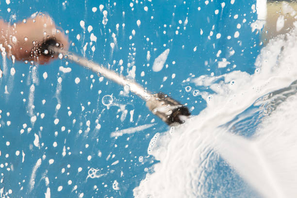 Best Animal Enclosure Cleaning  in Feather Sound, FL