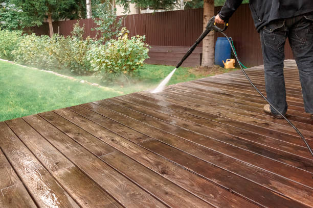 Best Solar Panel Cleaning  in Feather Sound, FL