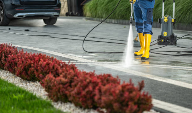 Best House Exterior Washing  in Feather Sound, FL